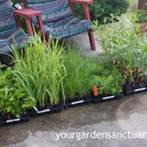 Planting Plugs is a Cheap and Easy way to Plant a Landscape | ProPlugger