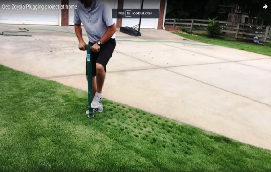 Geo Zoysia Plugging Project Video by Carlo Oller MD
