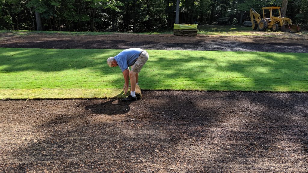 laying zoysia sod prior to plugging