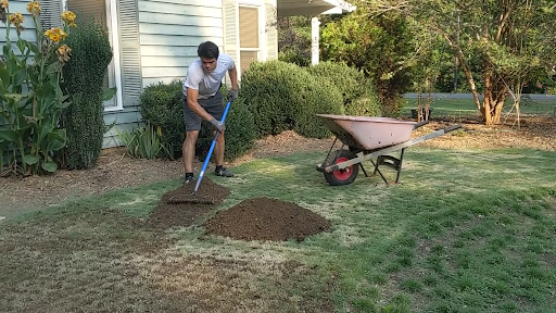 filling in sod with soil post plugging