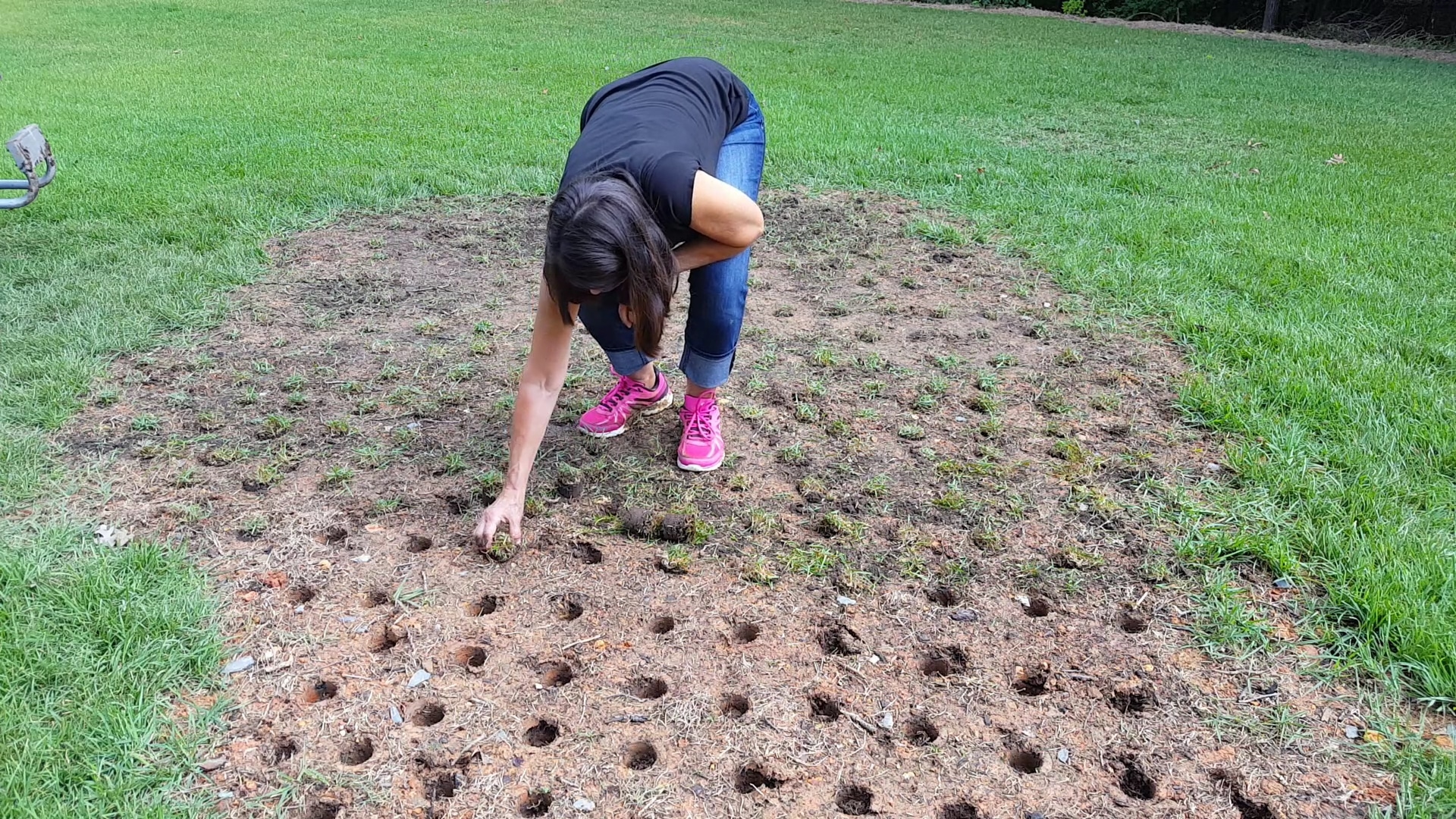 How To Repair Bare Spots in Your Lawn with the ProPluggger (with video