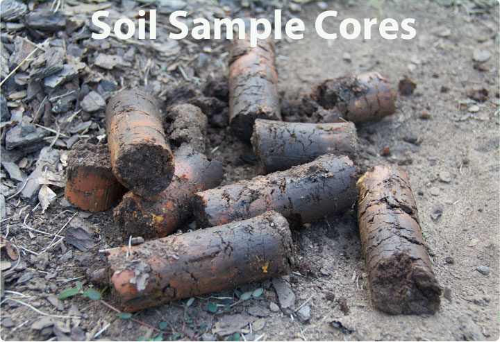 Soil collection cores for testing