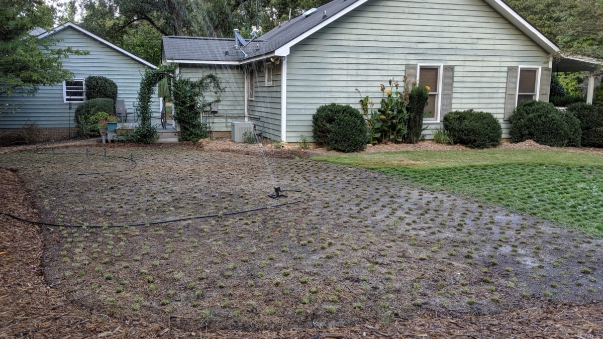 How to plant Centipede grass plugs ProPlugger