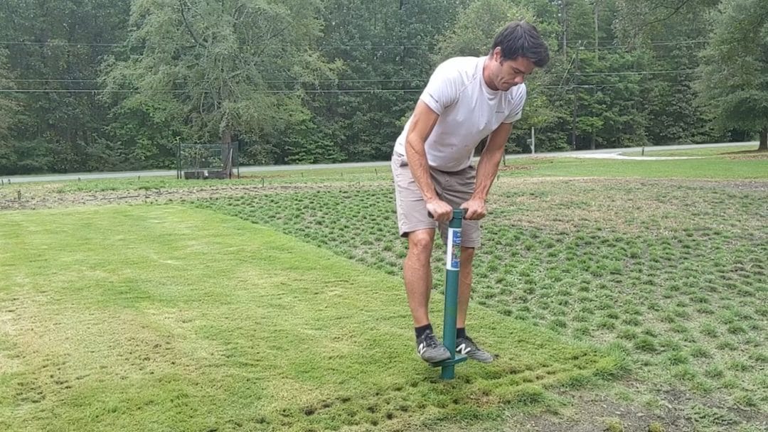 Planting grass plugs from sod